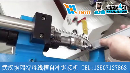 撥片式自沖鉚接機(jī)