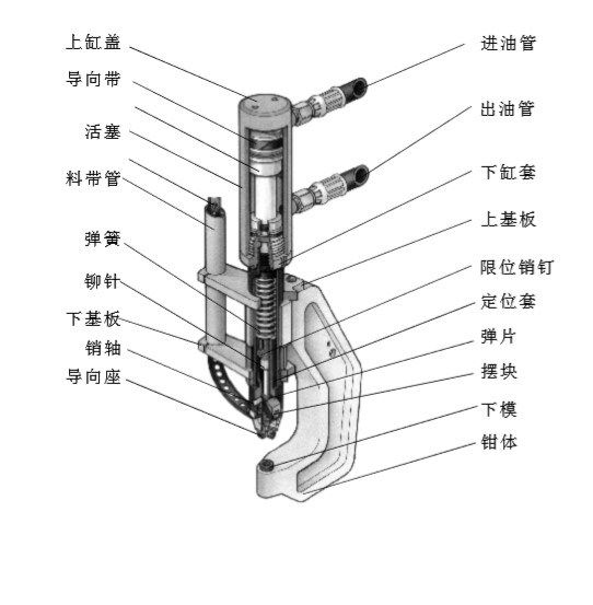 ĸ(xin)ԛ_T?zhun)ĸ(xin)ԛ_TәC(j)ĸ(xin)Tᔘ?zhun)f(shu)